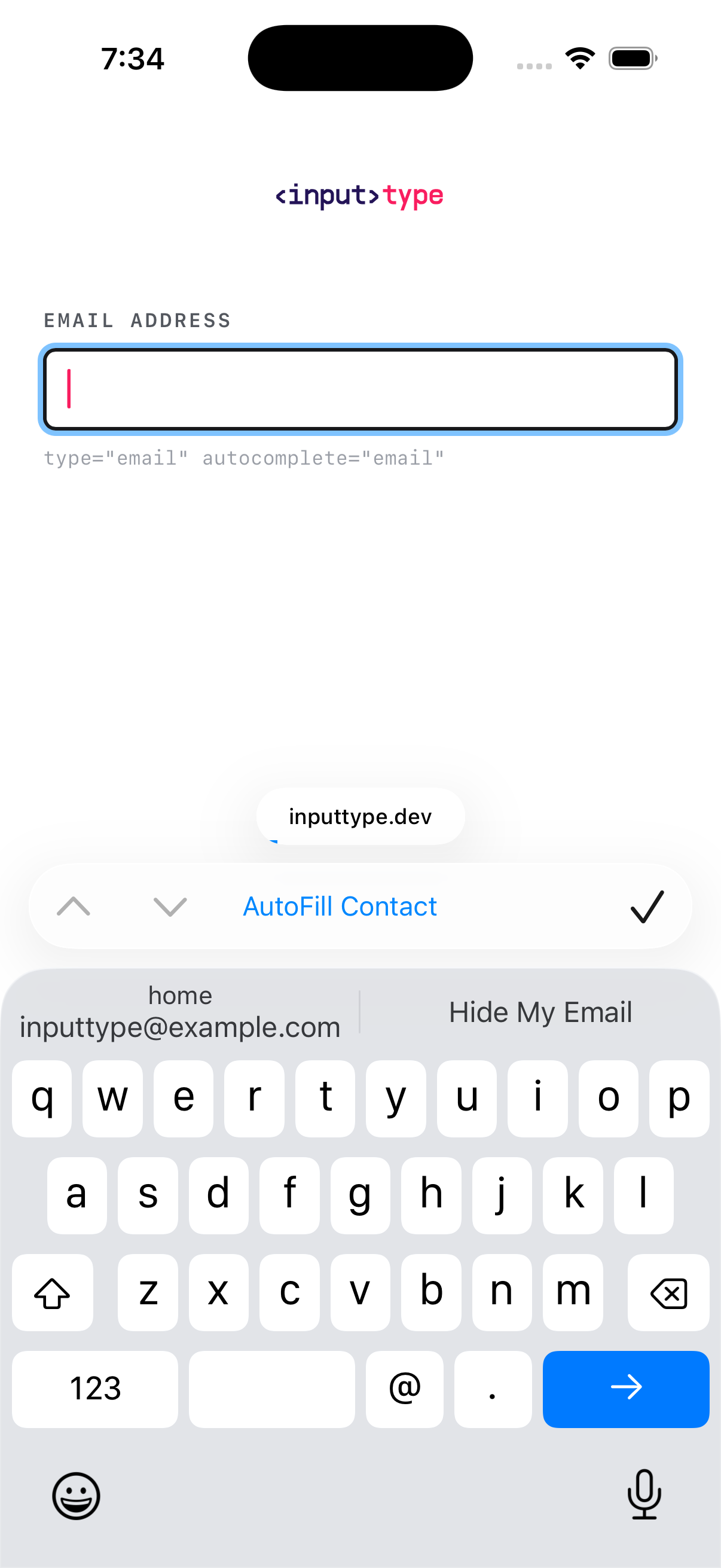 iOS screen for autocomplete="email" — whole frame, uncropped