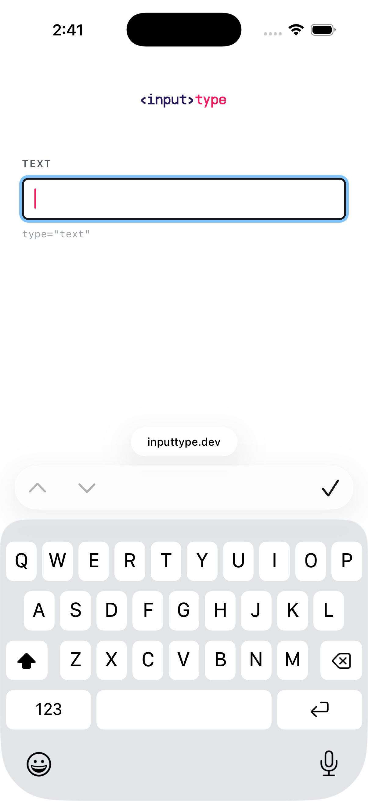 iOS screen for type="text" — whole frame, uncropped