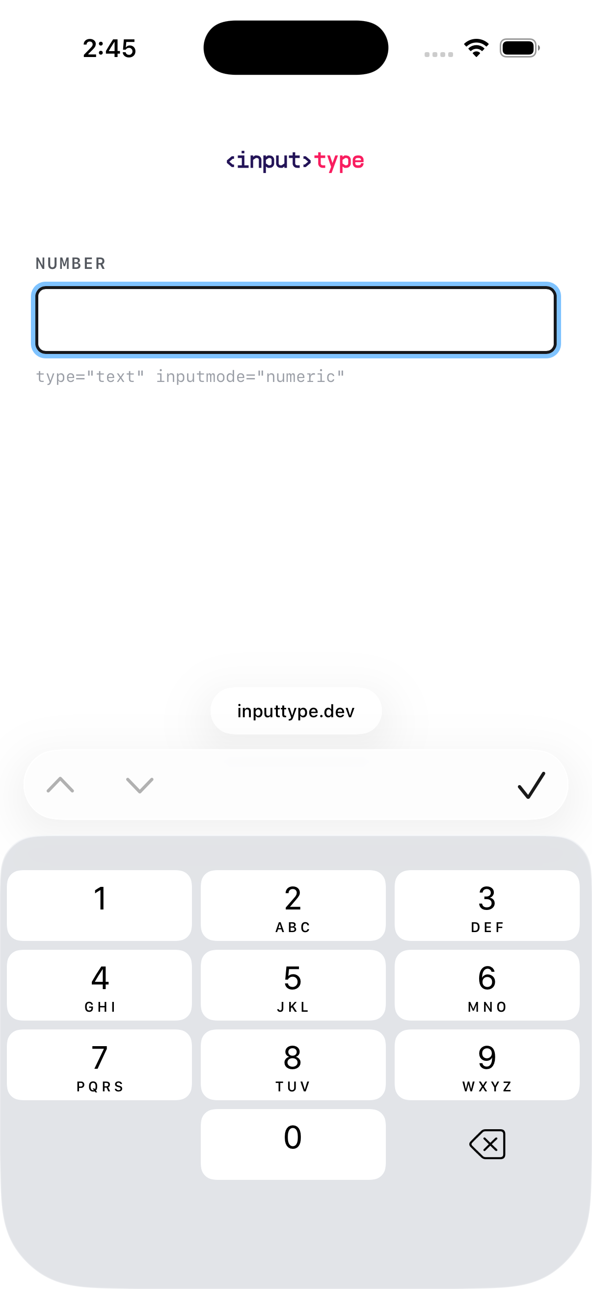 iOS screen for inputmode="numeric" — whole frame, uncropped
